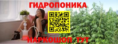 гидра Рыбинск