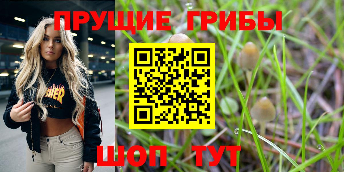Галлюциногенные грибы мицелий  где купить наркоту  Псилоцибиновые грибы ЛСД  Сердобск  Вход с VPN 